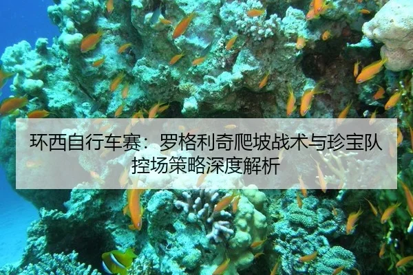 环西自行车赛：罗格利奇爬坡战术与珍宝队控场策略深度解析